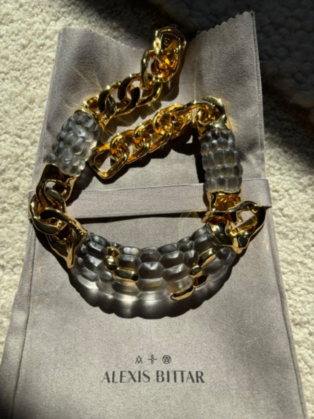 Alexis Bittar Lucite Necklace & Earrings - Set